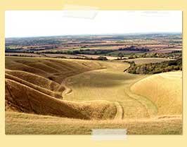 Photo of field in UK